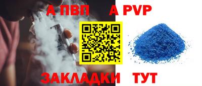 стаф Тула
