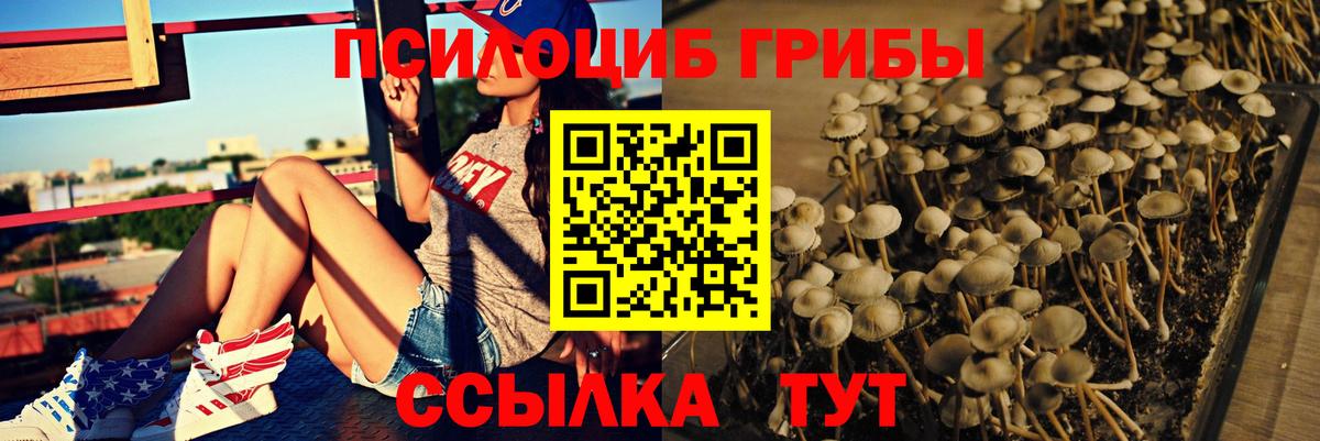 Псилоцибиновые грибы Cubensis Миасс