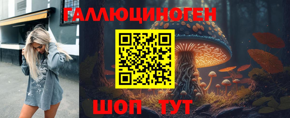 Миасс  Псилоцибиновые грибы Psilocybine cubensis  Вход с VPN 