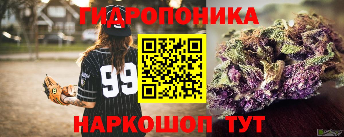 Каннабис OG Kush Миасс
